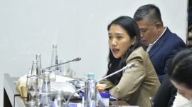 Puteri Komaruddin Anggota Komisi XI DPR RI