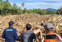 Menteri LH, Hanif Faisol tinjau lokasi banjir Sumatera