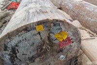 Kayu Hanyut Berlabel Kemenhut