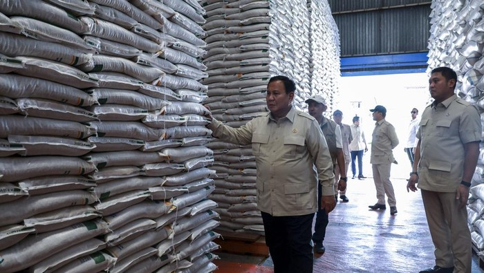 Presiden-sidak-gudang-bulog-danurejo (Sumber: Detik.com)